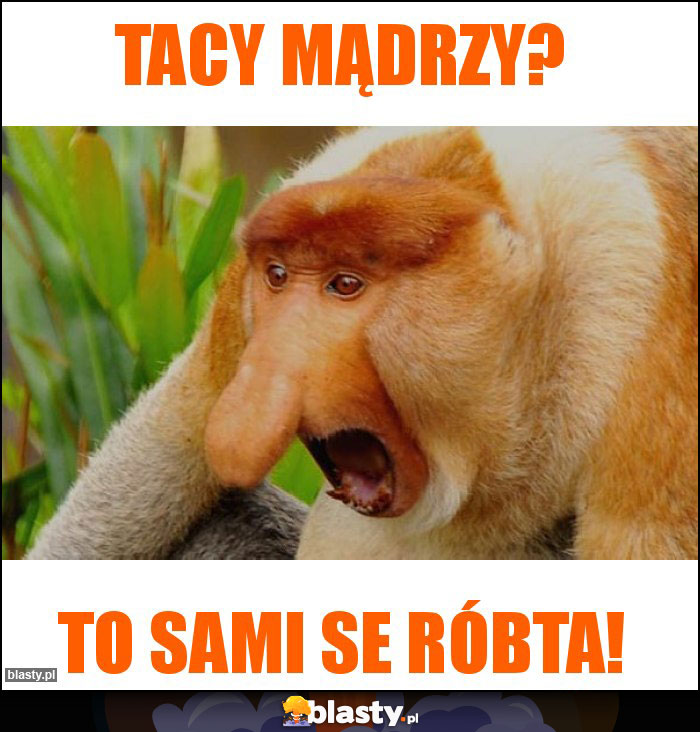 Tacy mądrzy?