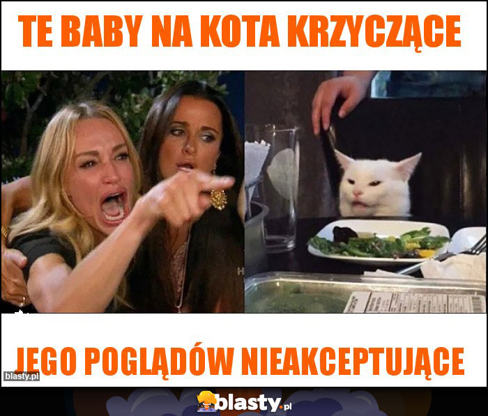 te baby na kota krzyczące