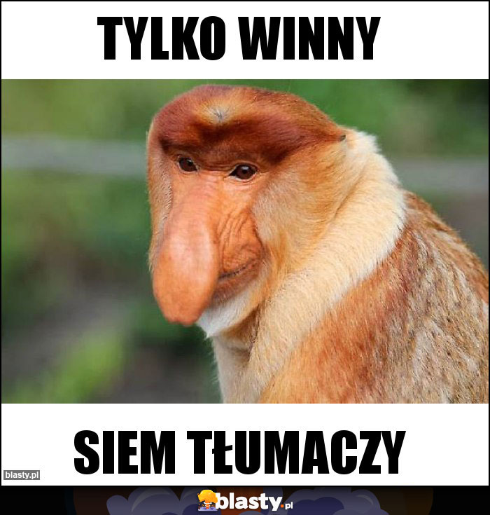 Tylko winny