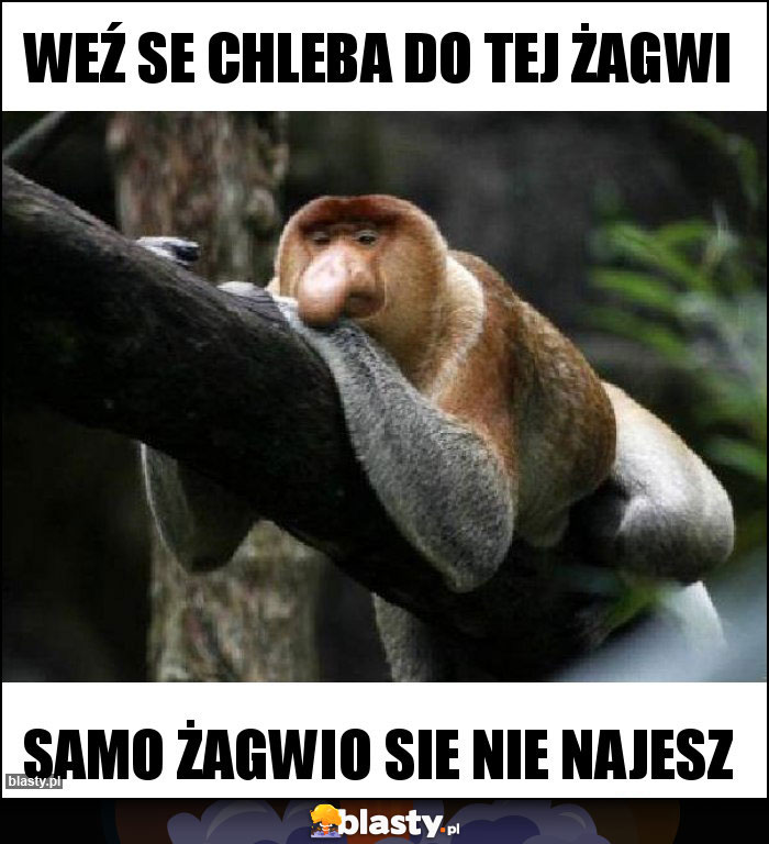 WEŹ SE CHLEBA DO TEJ ŻAGWI