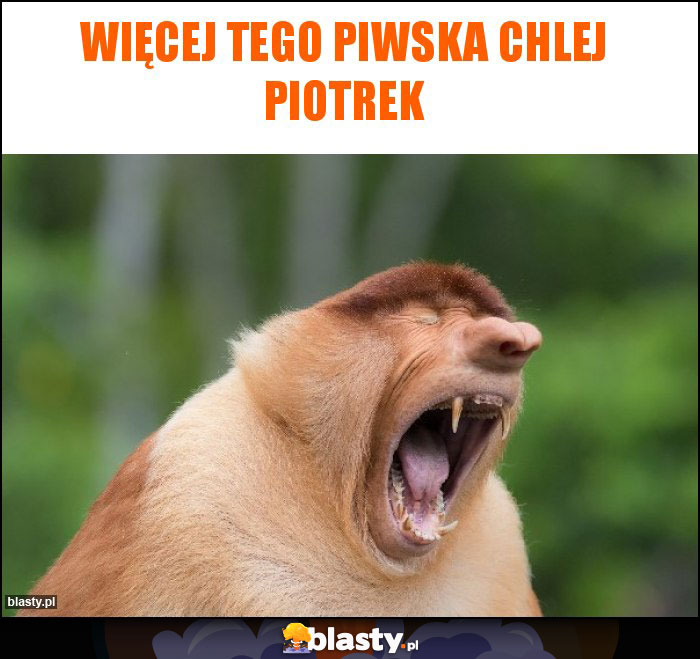 więcej tego piwska chlej piotrek