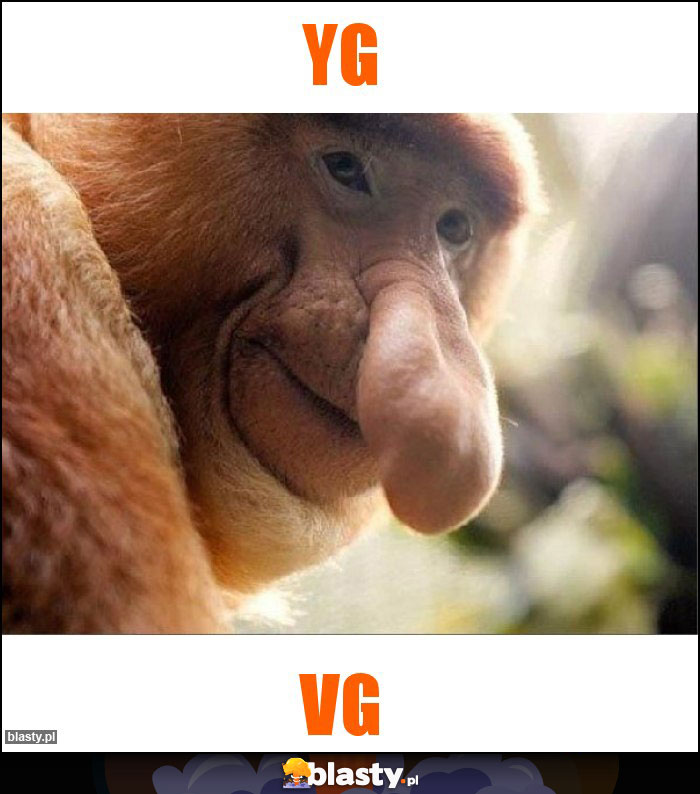 Yg