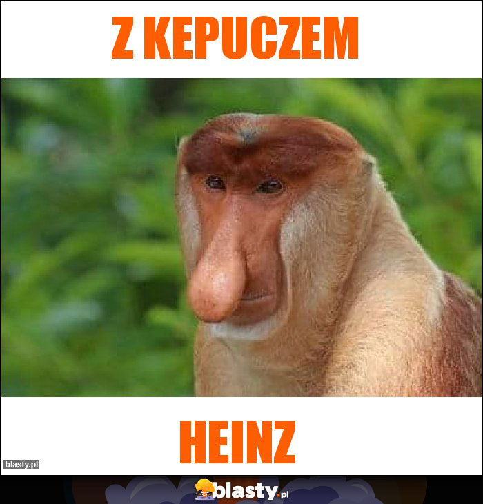 Z kepuczem