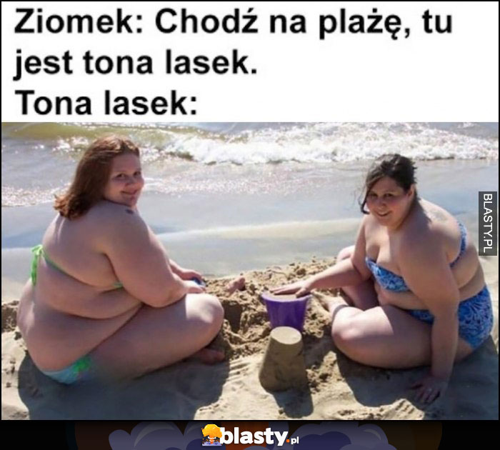 Ziomek: chodź na plażę, tu jest tona lasek. Tona lasek: dwie grube wieloryby