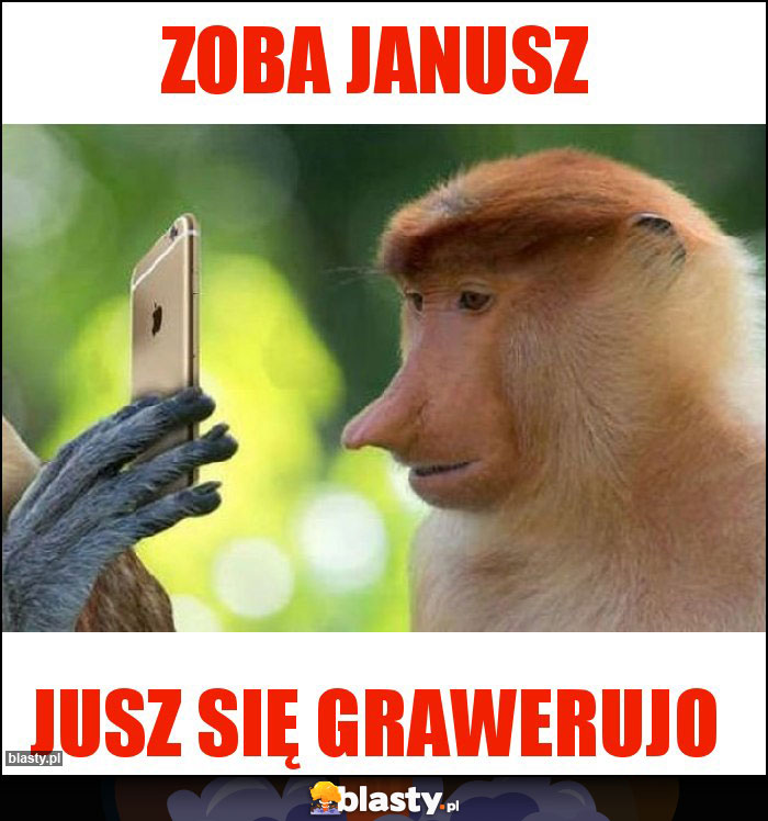 Zoba janusz