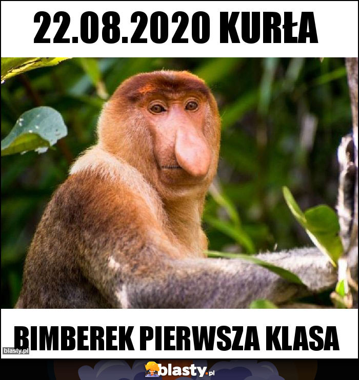 22.08.2020 KURŁA