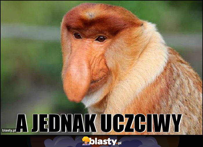 A jednak uczciwy