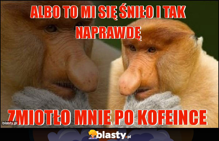 albo to mi się śniło i tak naprawdę