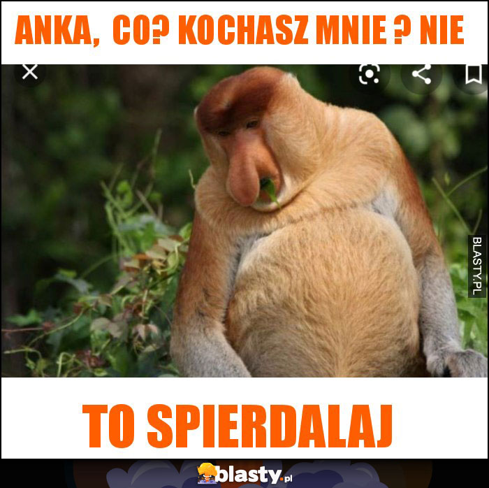 Anka,  Co? Kochasz mnie ? Nie