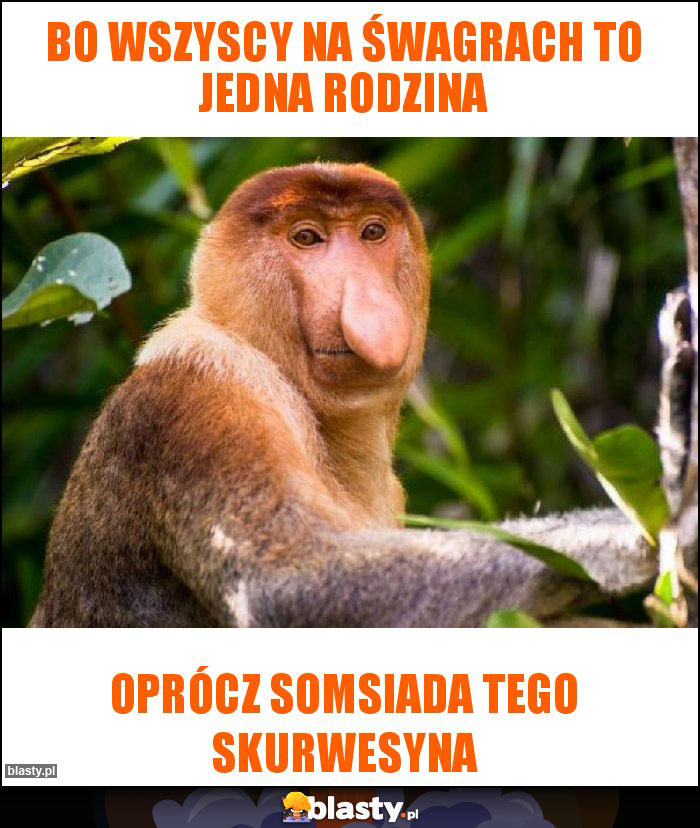 BO WSZYSCY NA ŚWAGRACH TO JEDNA RODZINA