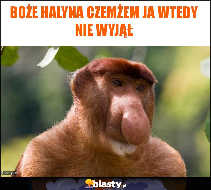 Boże Halyna czemżem ja wtedy nie wyjął