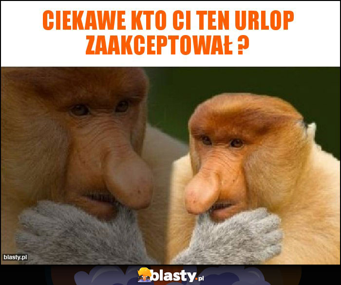 Ciekawe kto Ci ten urlop zaakceptował ?