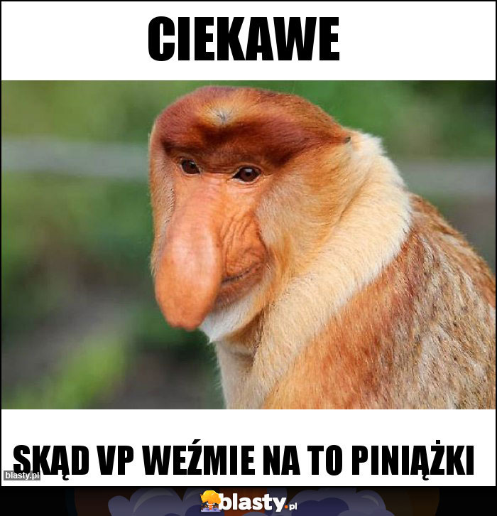 Ciekawe