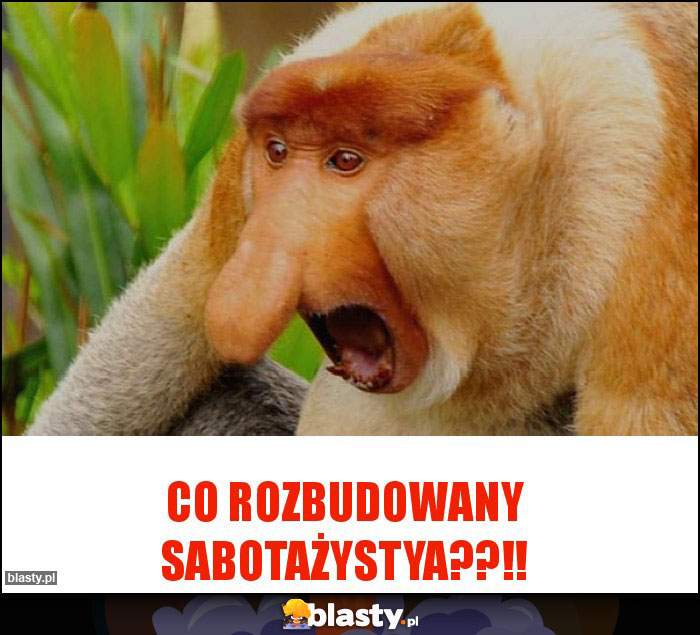 Co rozbudowany sabotażystya??!!