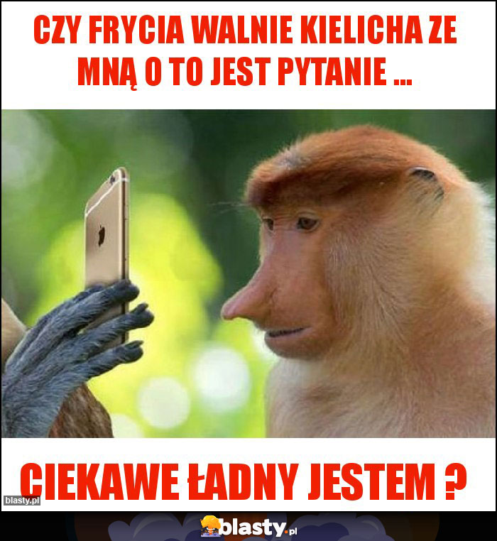 Czy frycia walnie kielicha ze mną O to jest pytanie ...