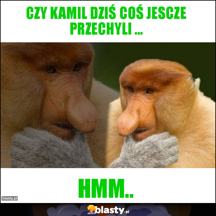 Czy Kamil dziś coś jesCze przechyli ...