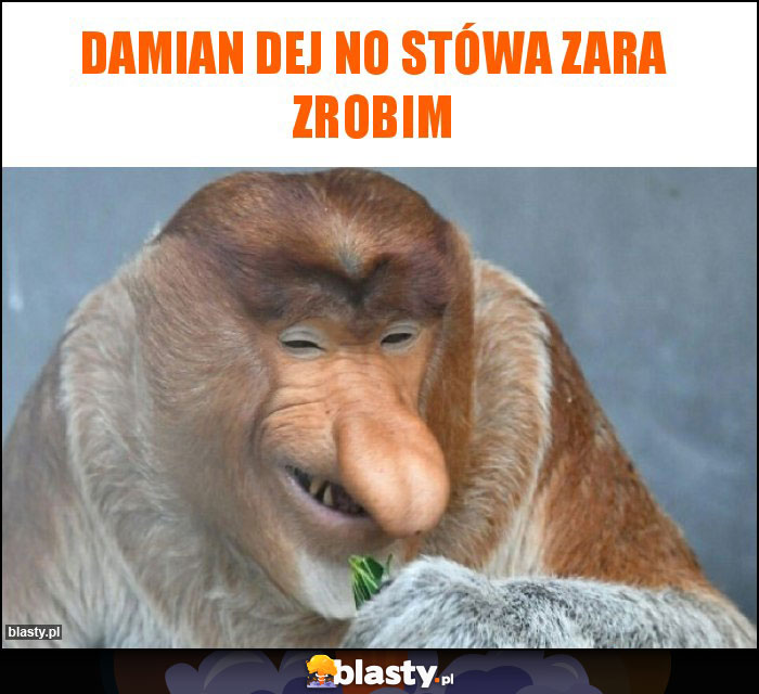 Damian dej no stówa zara zrobim