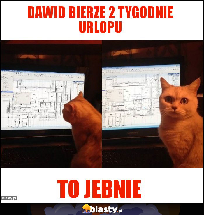 Dawid bierze 2 tygodnie urlopu