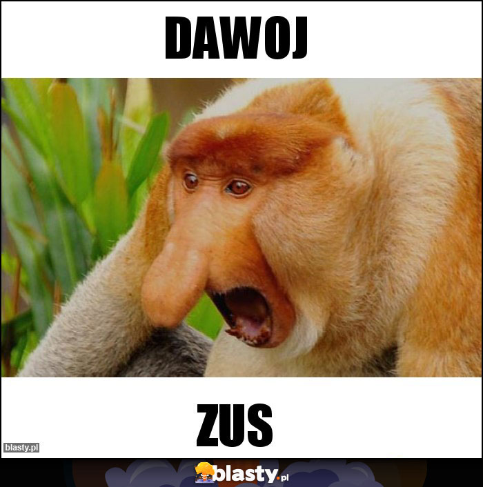 Dawoj