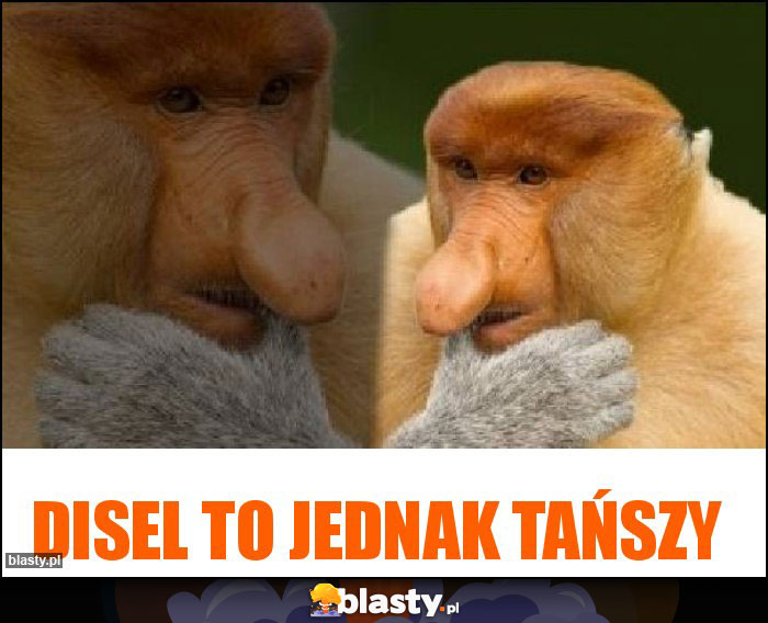 Disel to jednak tańszy