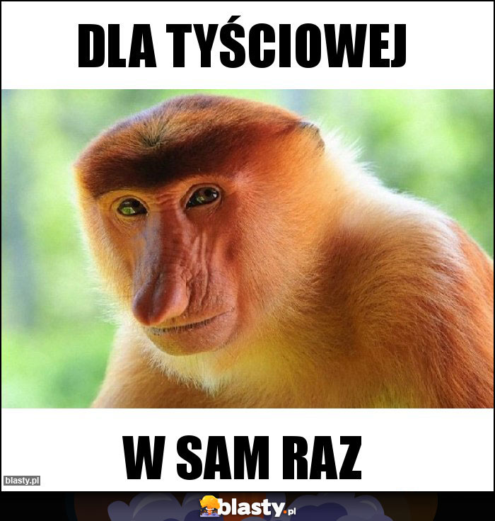 Dla tyściowej