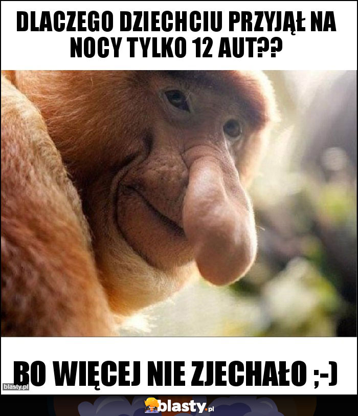 DLACZEGO DZIECHCIU PRZYJĄŁ NA NOCY TYLKO 12 AUT??