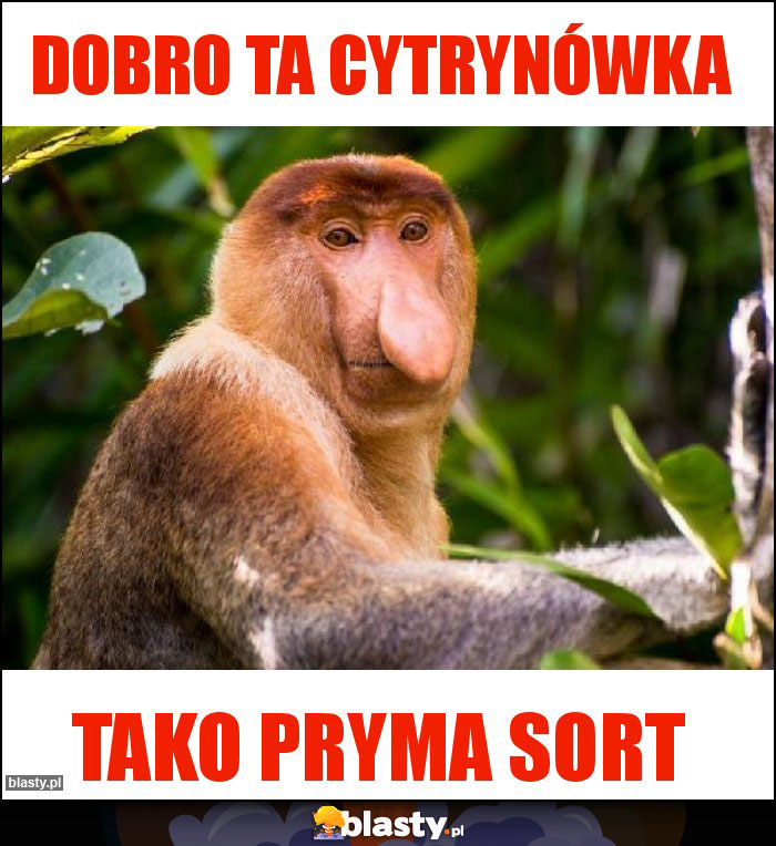 DOBRO TA CYTRYNÓWKA