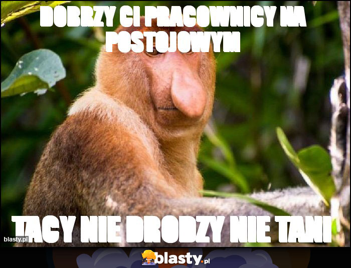 Dobrzy Ci pracownicy na postojowym