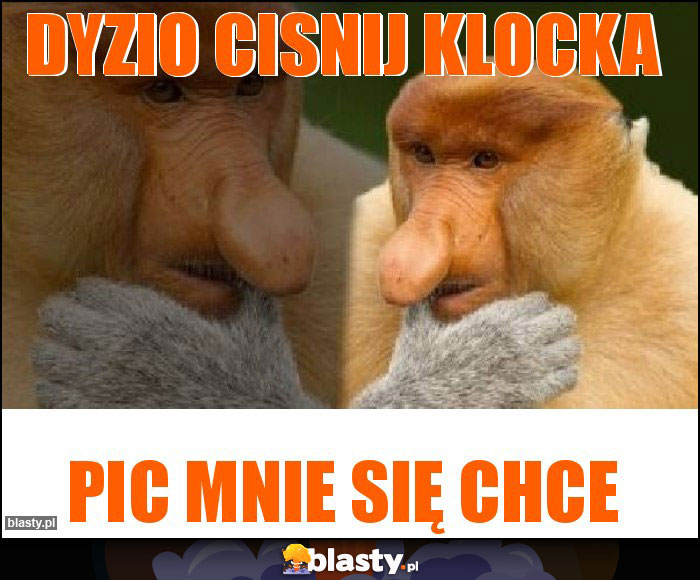 Dyzio cisnij klocka