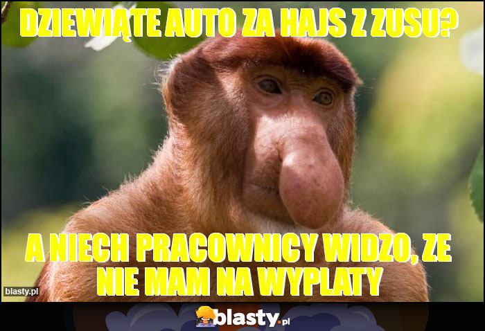 Dziewiąte auto za hajs z zusu?