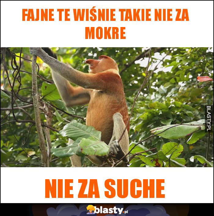 Fajne te wiśnie takie nie za mokre