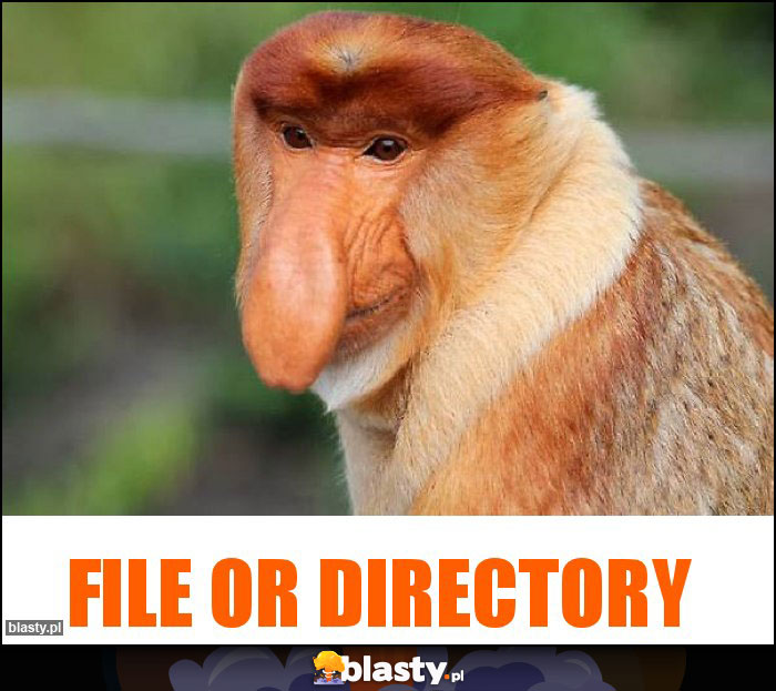 File or directory