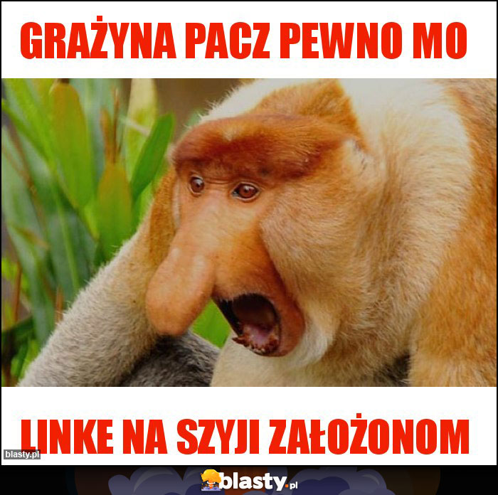 Grażyna pacz pewno mo