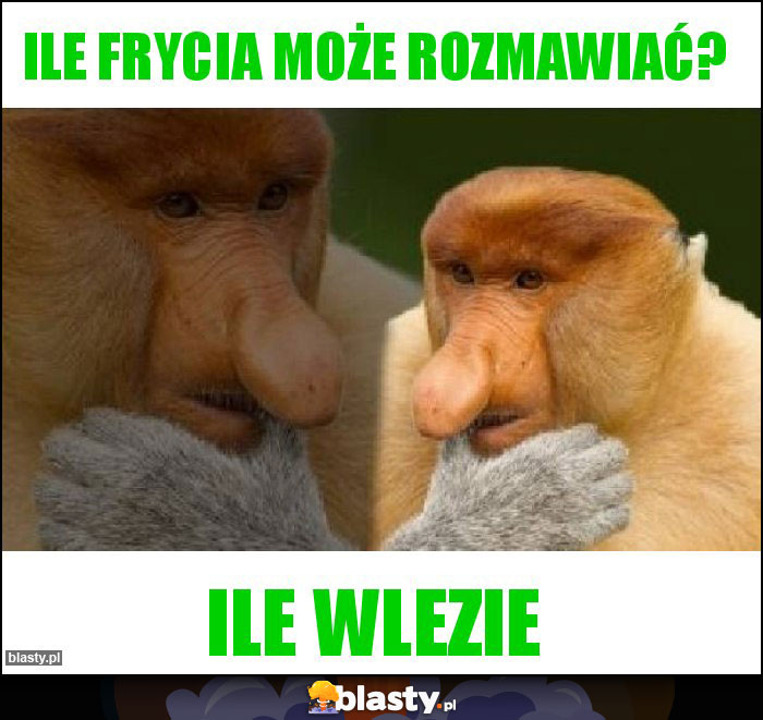 Ile frycia może rozmawiać?