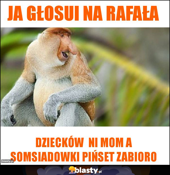 Ja głosui na Rafała