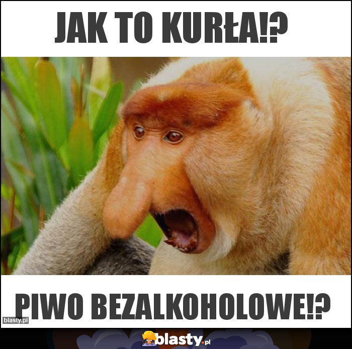 Jak to kurła!?