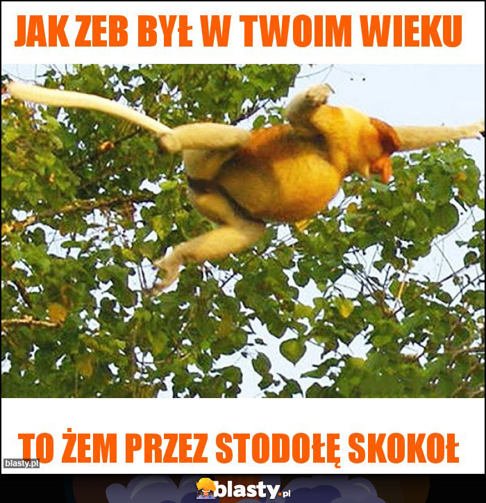 Jak zeb był w twoim wieku