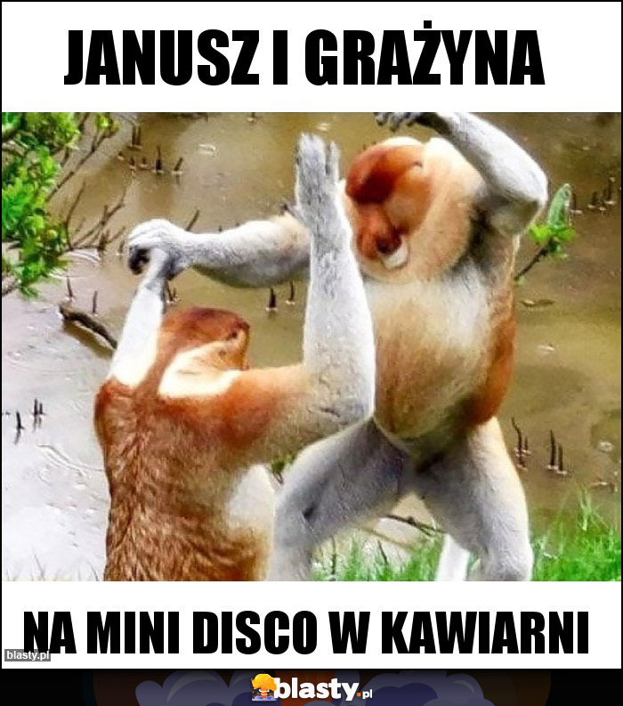 Janusz i grażyna