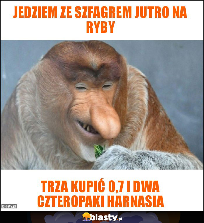 Jedziem ze szfagrem jutro na ryby