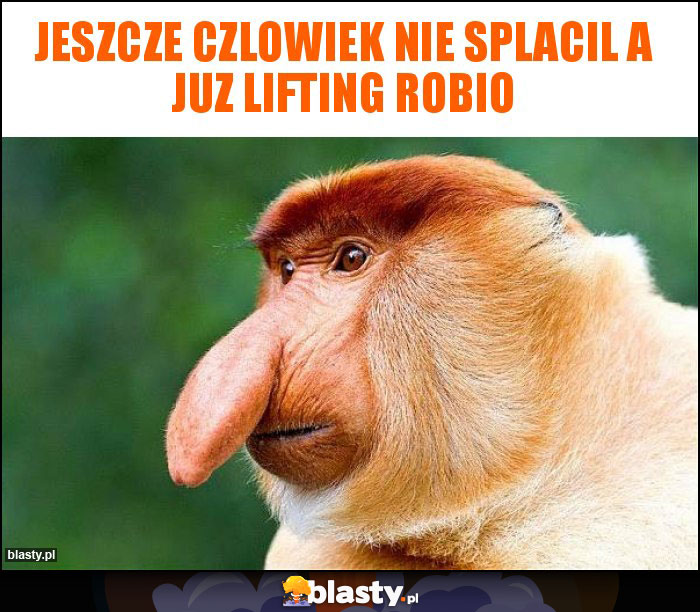 jeszcze czlowiek nie splacil a juz lifting robio