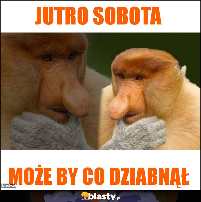 Jutro sobota