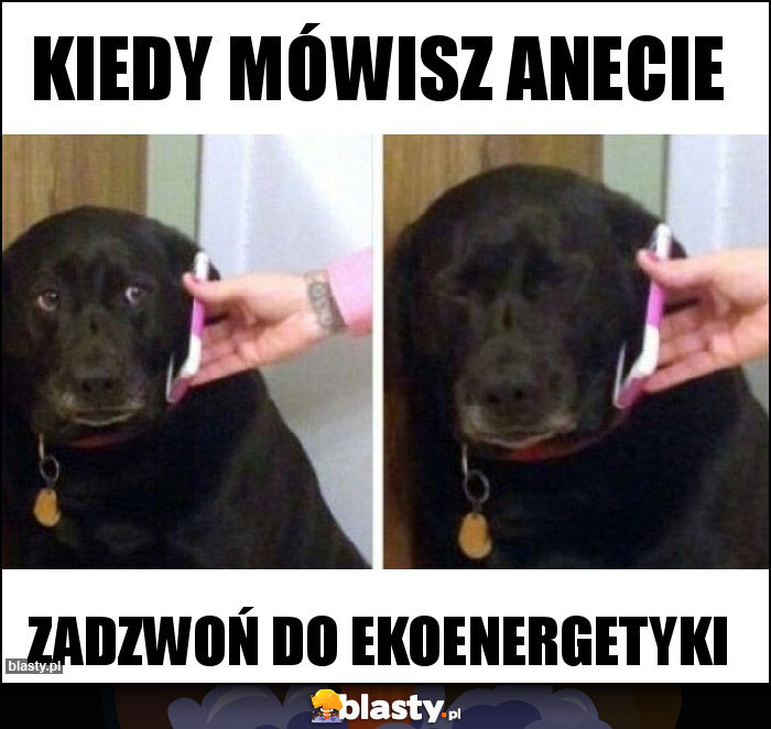 Kiedy mówisz Anecie