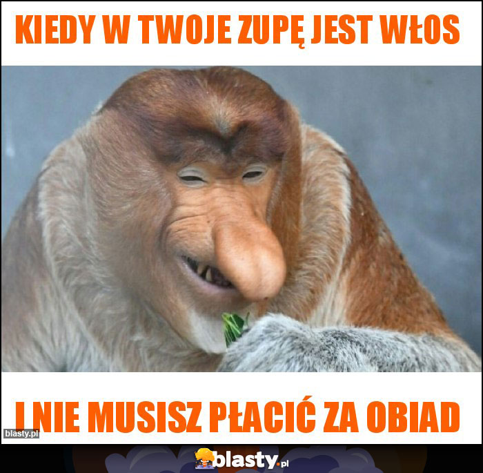 Kiedy w twoje zupę jest włos