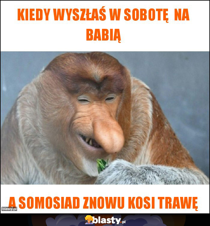 Kiedy wyszłaś w sobotę  na Babią