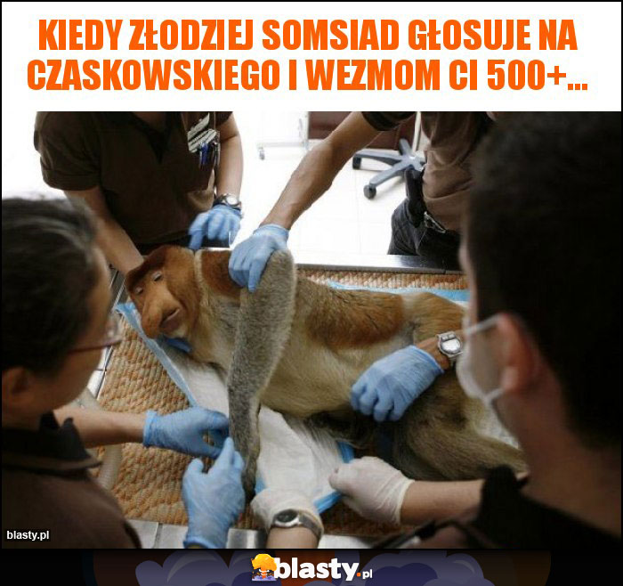 kiedy złodziej somsiad głosuje na Czaskowskiego i wezmom ci 500+...