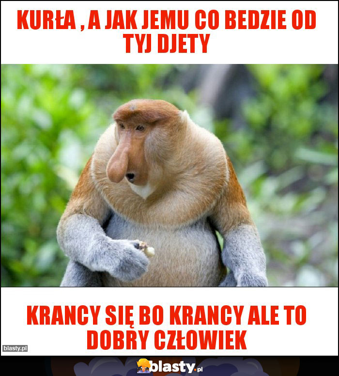 Kurła , a jak jemu co bedzie od tyj djety