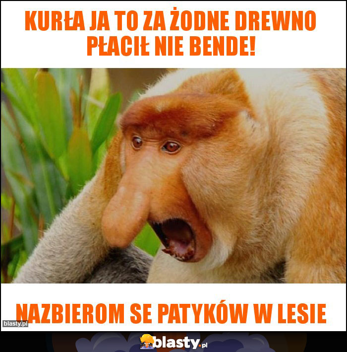 Kurła ja to za żodne drewno płacił nie bende!