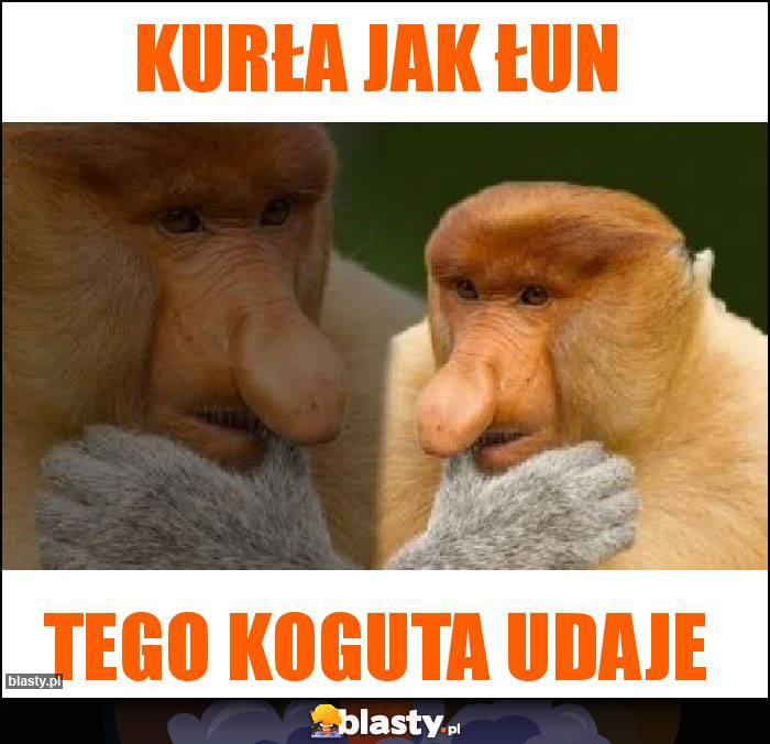 Kurła jak ŁUN