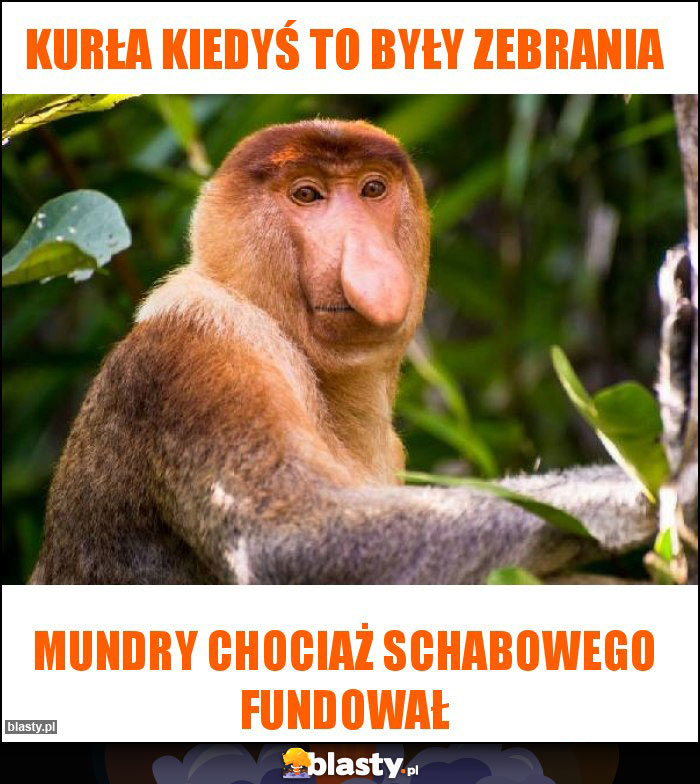 Kurła kiedyś to były zebrania