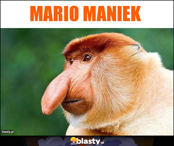 Mario Maniek